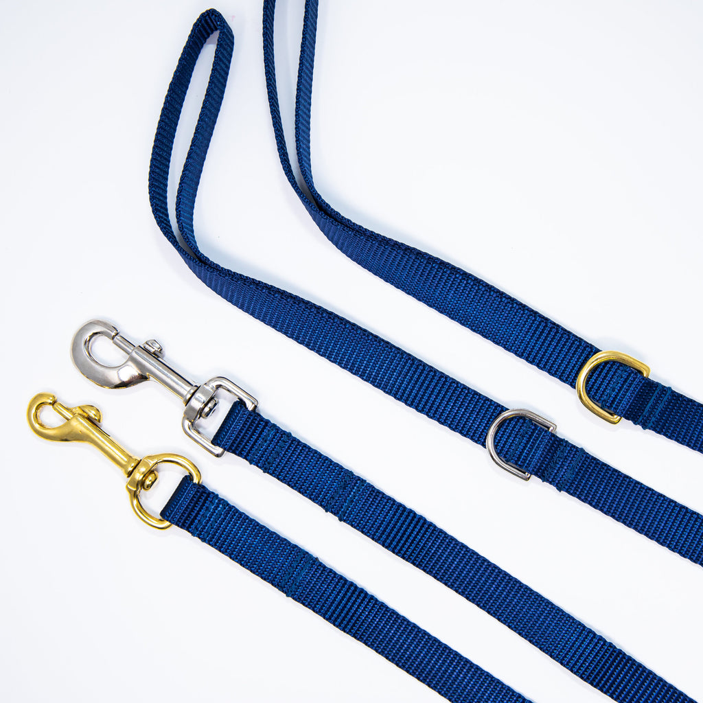 Blue Webbing Dog Leash