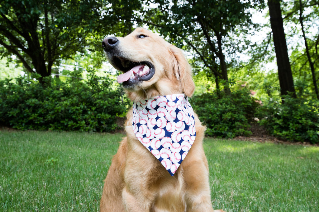 Baseball All Over Dog Bandana