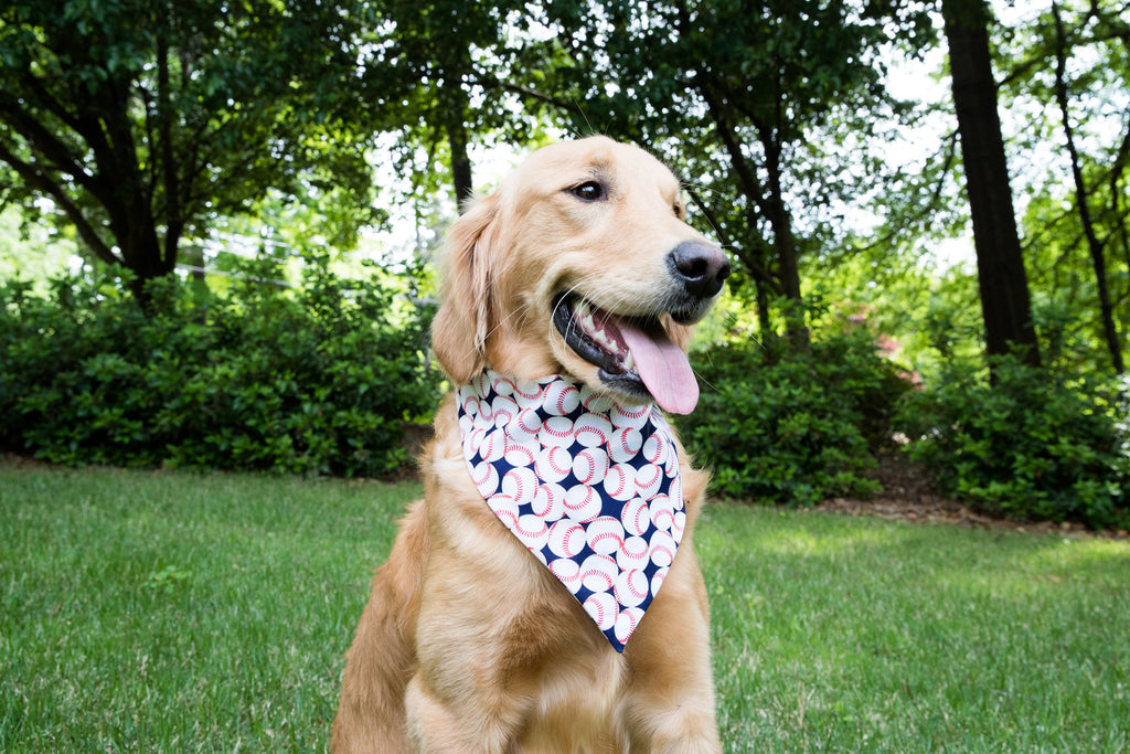 Baseball All Over Dog Bandana