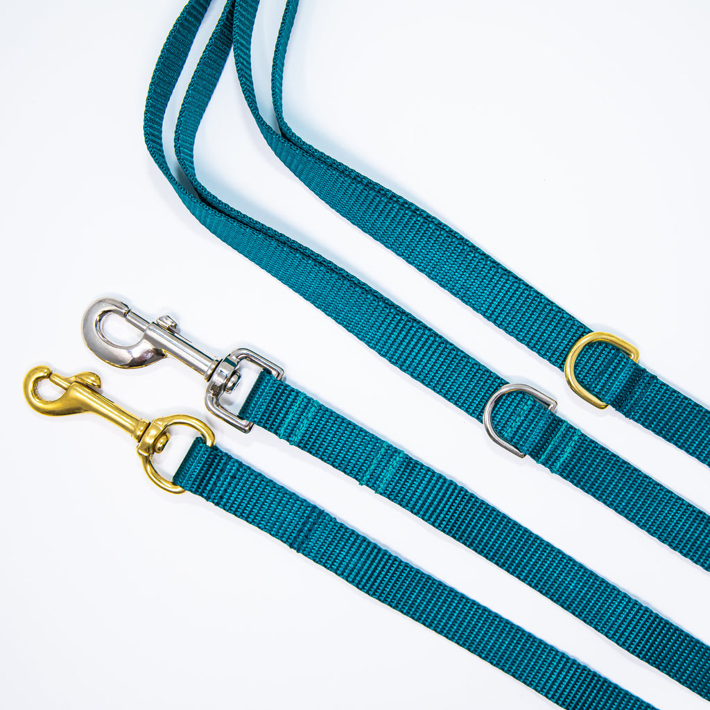 Teal Webbing Dog Leash