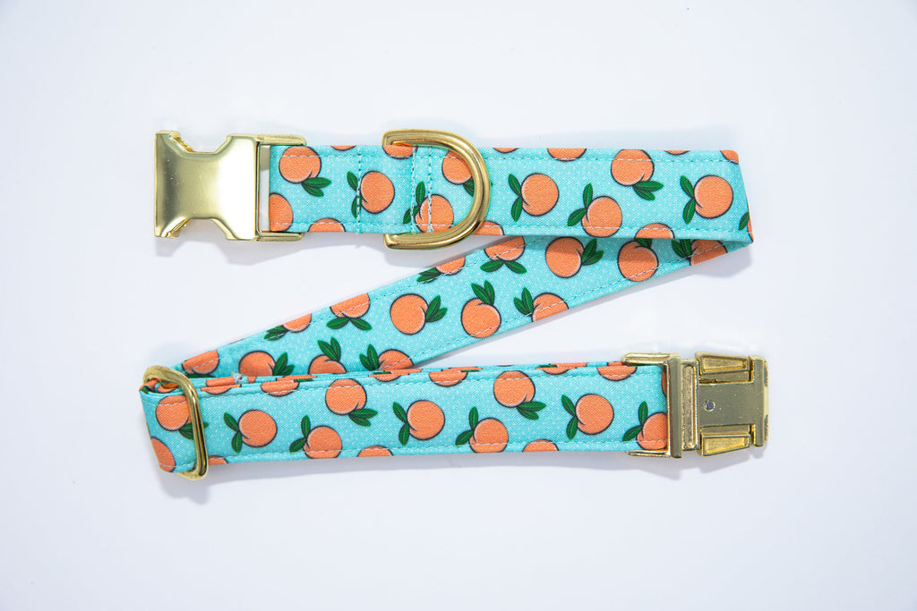 Peaches on Mint Dog Collar