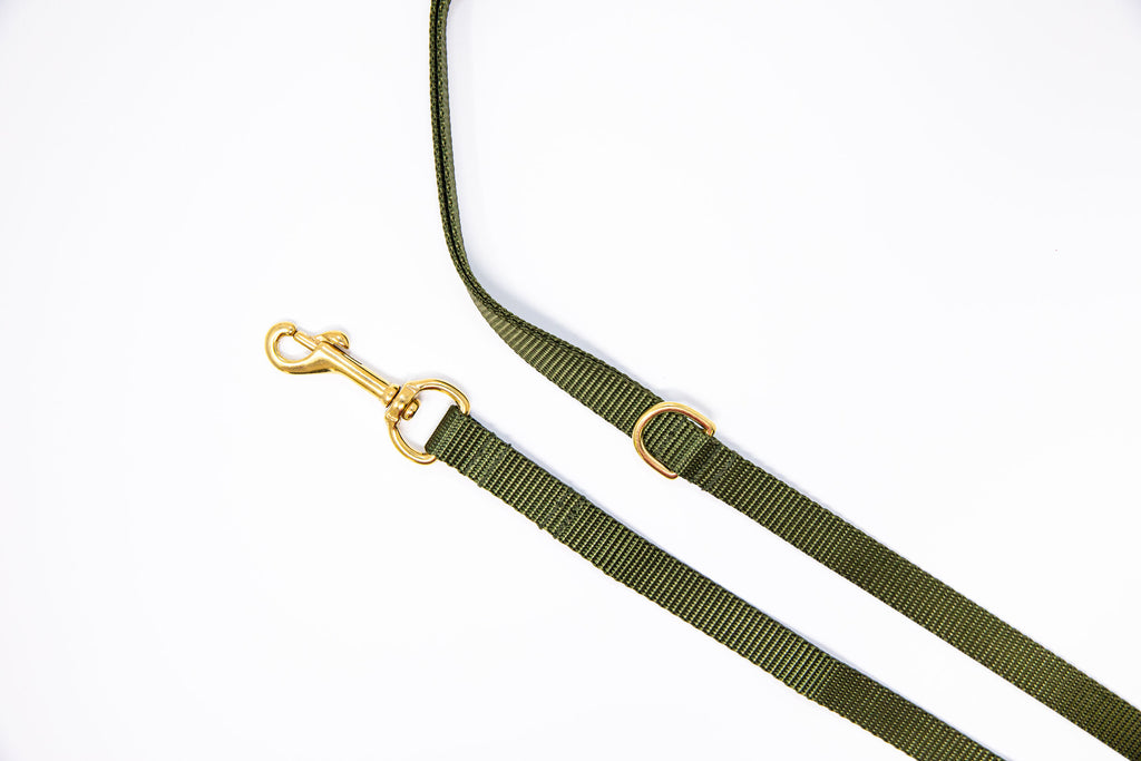 Olive Green Webbing Dog Leash