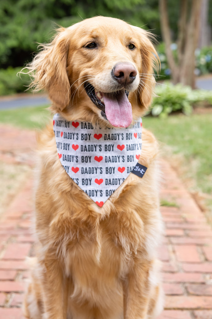 Daddy's Boy Dog Bandana