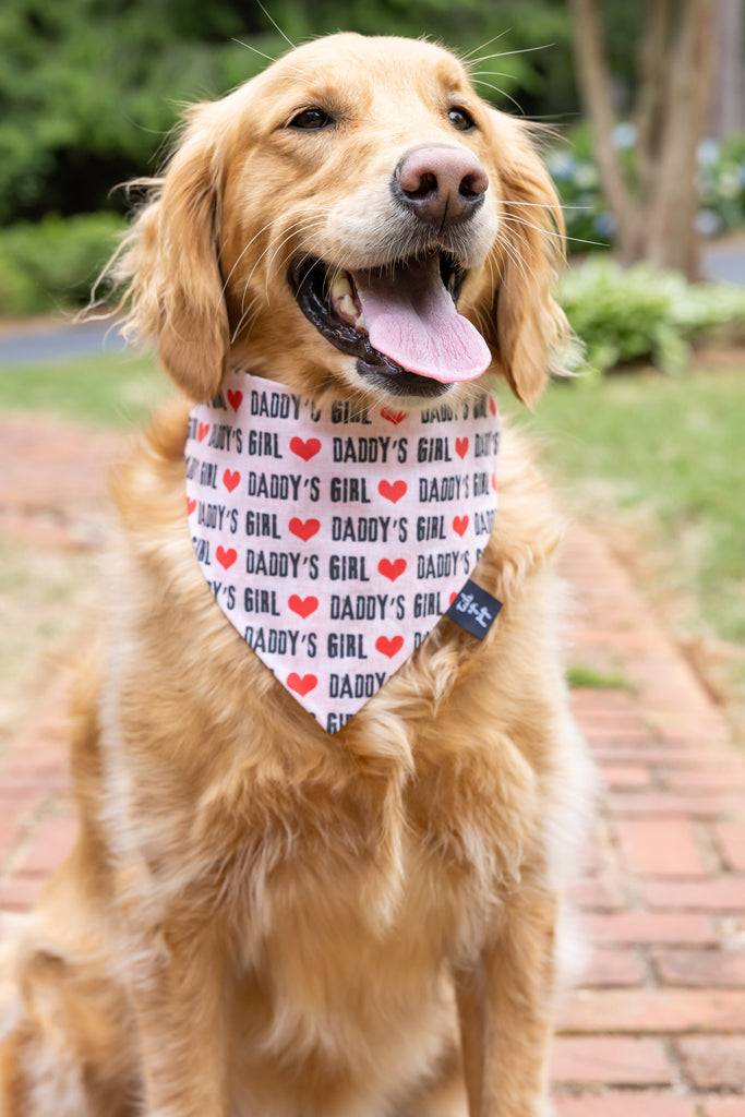 Daddy's Girl Dog Bandana