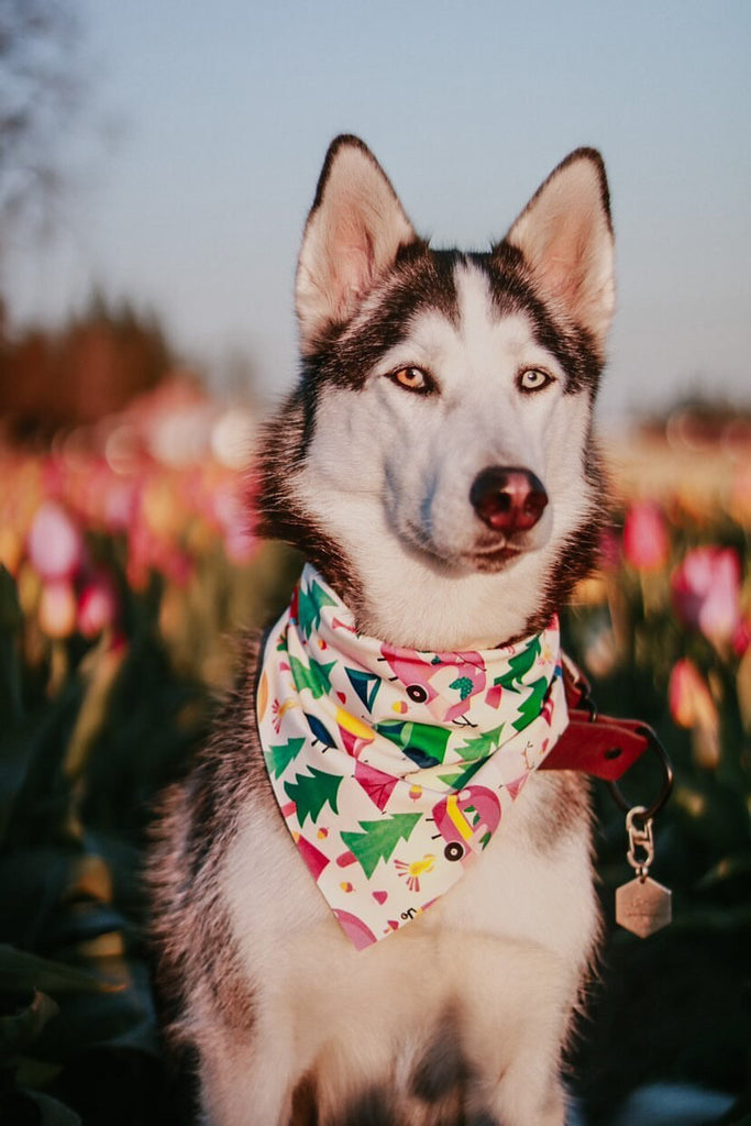 Campers In The Forest Endurance Dog Bandana