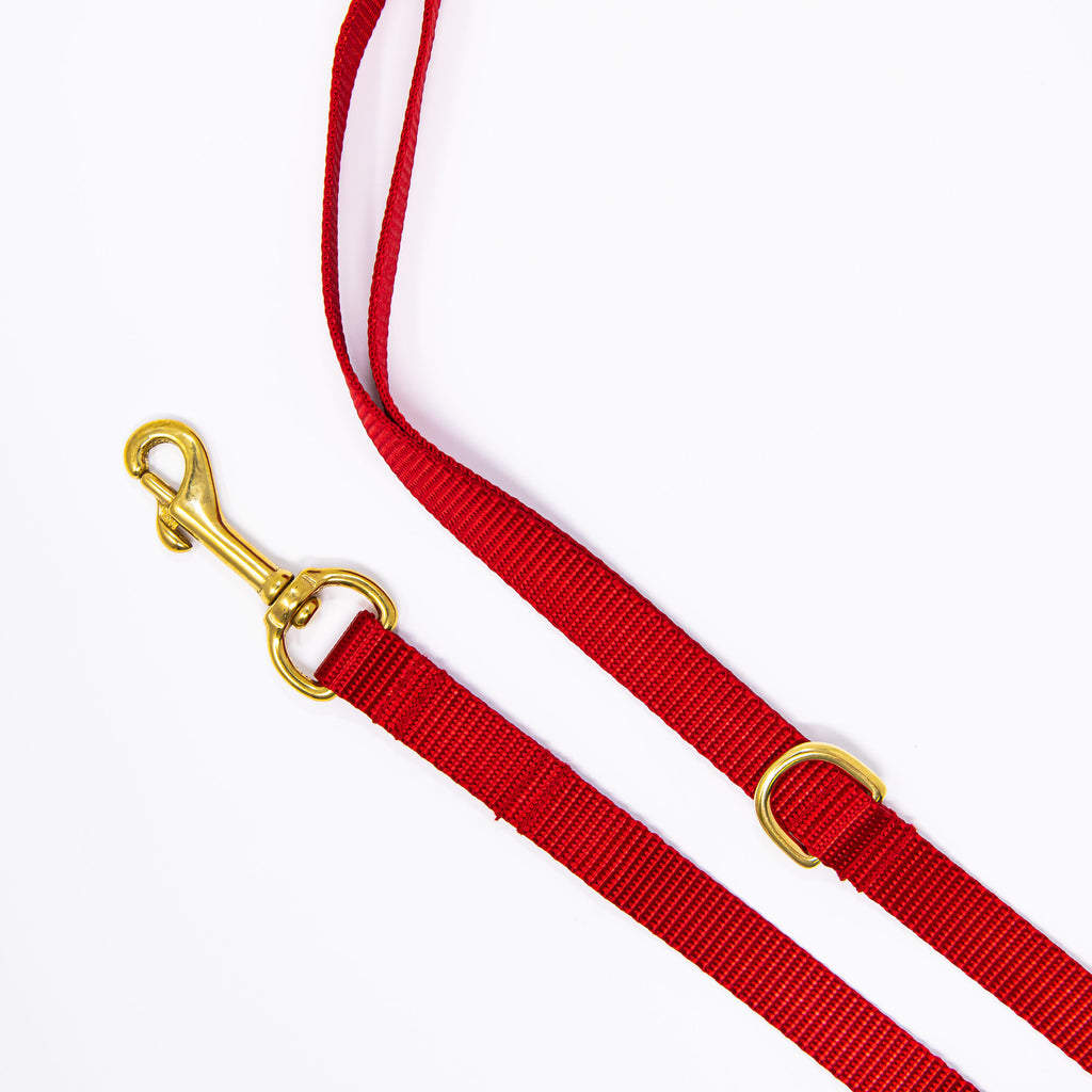 Red Webbing Dog Leash