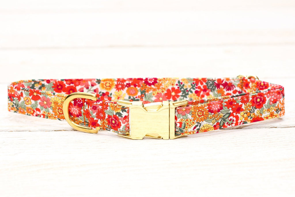 The Stella Dog Collar