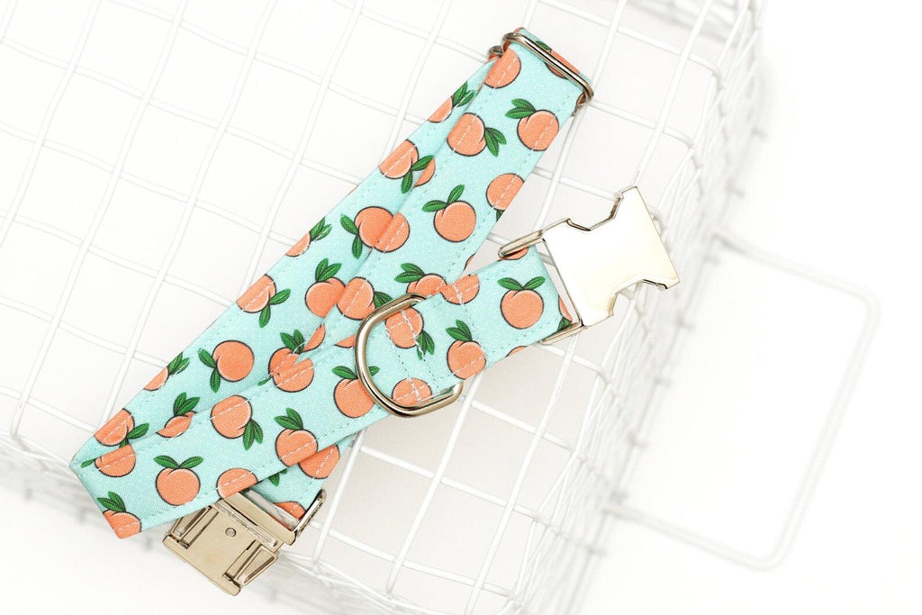 Peaches on Mint Dog Collar