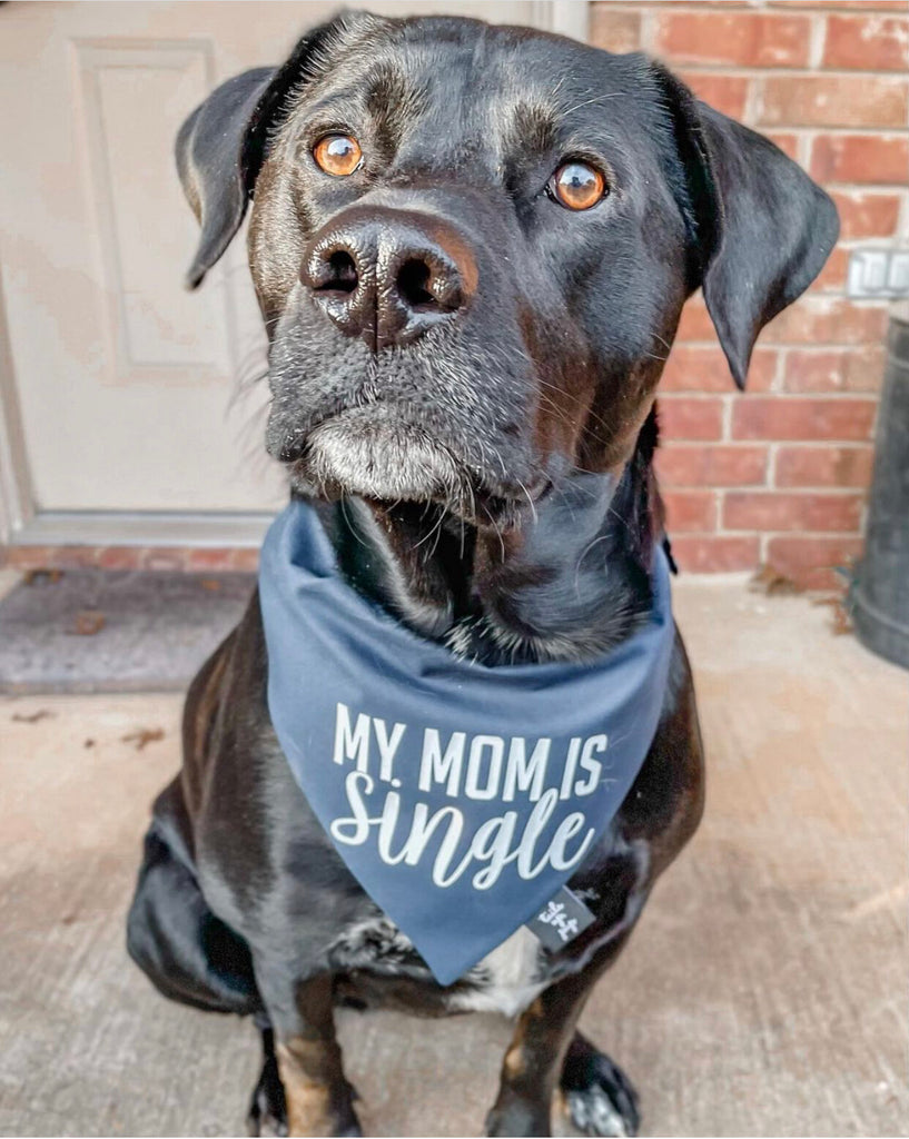 My Mom Is Single Dog Bandana