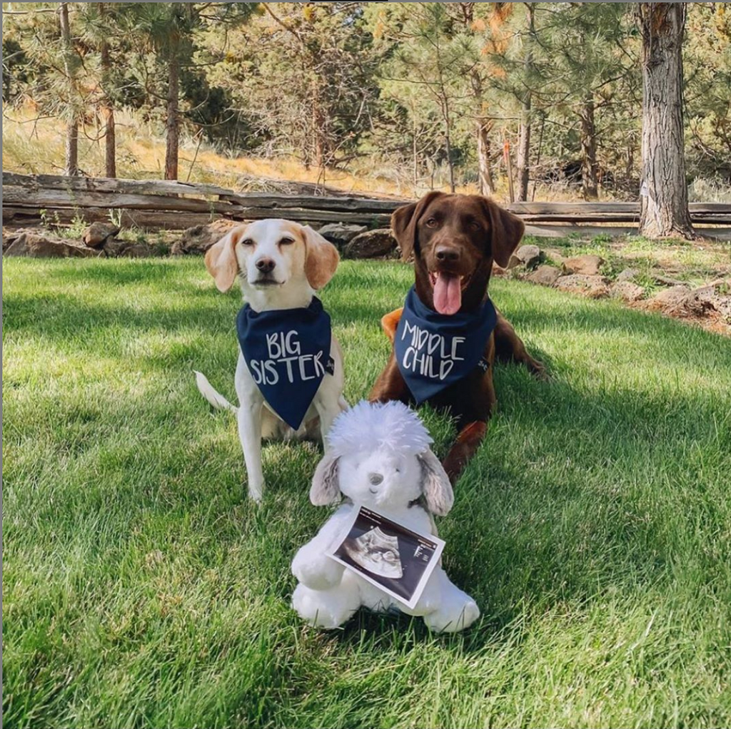 Big SisterDog Bandana